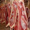 свинина оптом в Самаре в Самаре