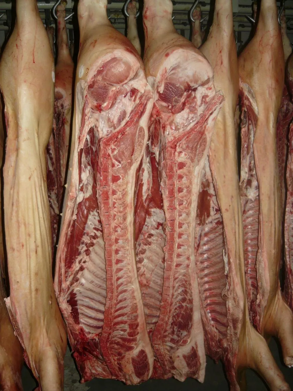 мясо Свинина охлажденная (Полутуши) в Тольятти
