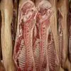 мясо Свинина охлажденная (Полутуши) в Тольятти