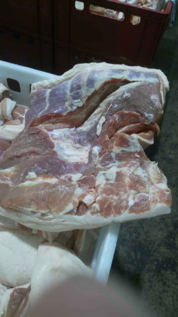 любое мясосырье из свинины в Самаре и Самарской области 5