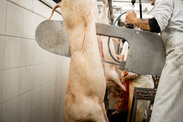 Самарским чиновникам придется оплатить истребление свиней «Северного ключа»