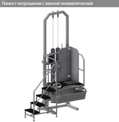 оборудование для убоя свиньи, КРС, птицы в Тольятти 10