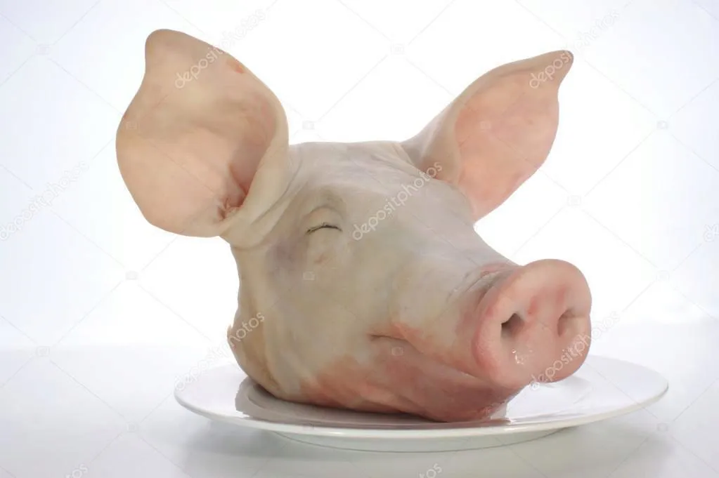 фотография продукта Свиные головы оптом