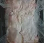 жир-сырец свиной замороженный в Тольятти