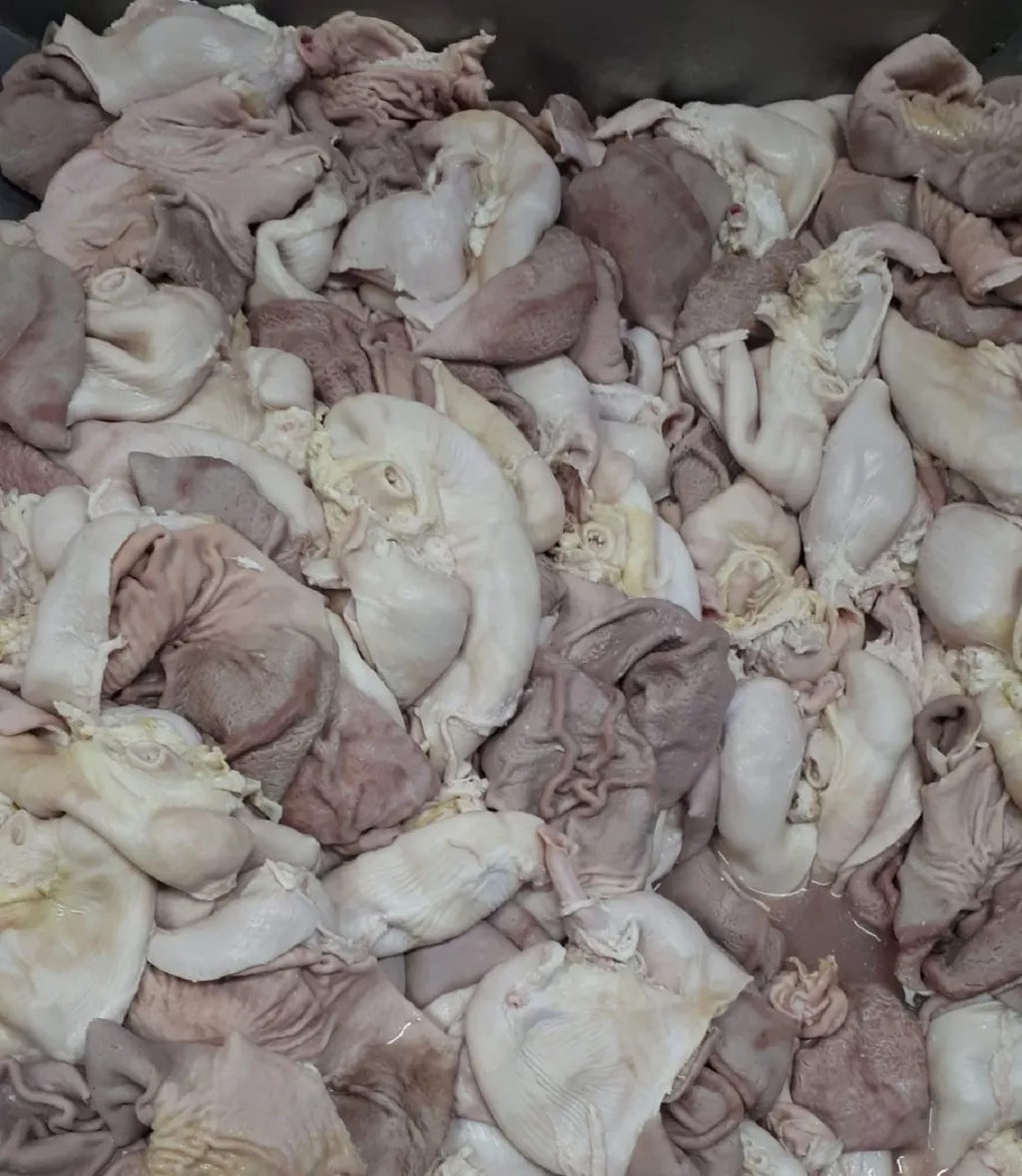 желудок свиной в Самаре и Самарской области