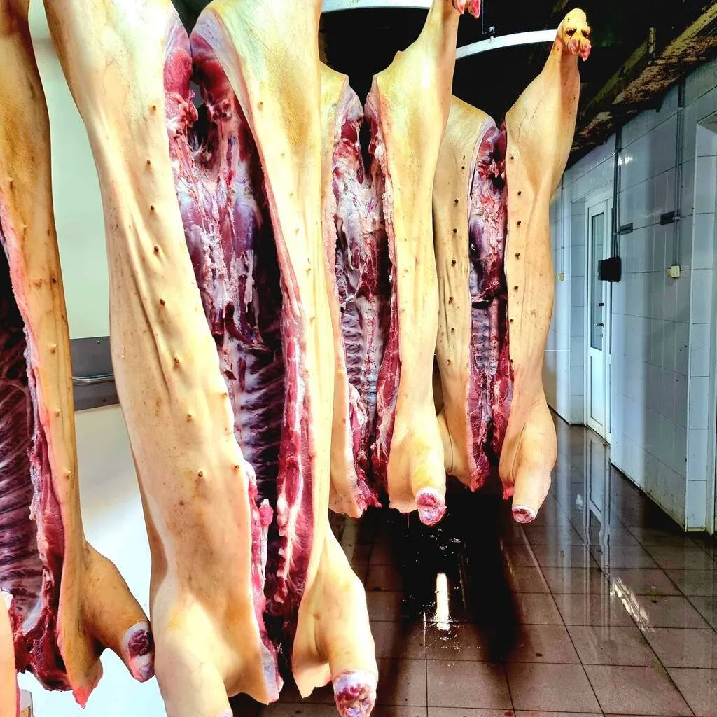фотография продукта Туши и п/т. Мясо свинины. Охлаждёнка