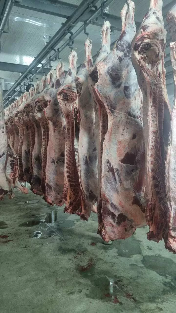 мясо говядина охлажденная полутуши оптом в Самаре и Самарской области