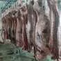 мясо говядина охлажденная полутуши оптом в Самаре и Самарской области