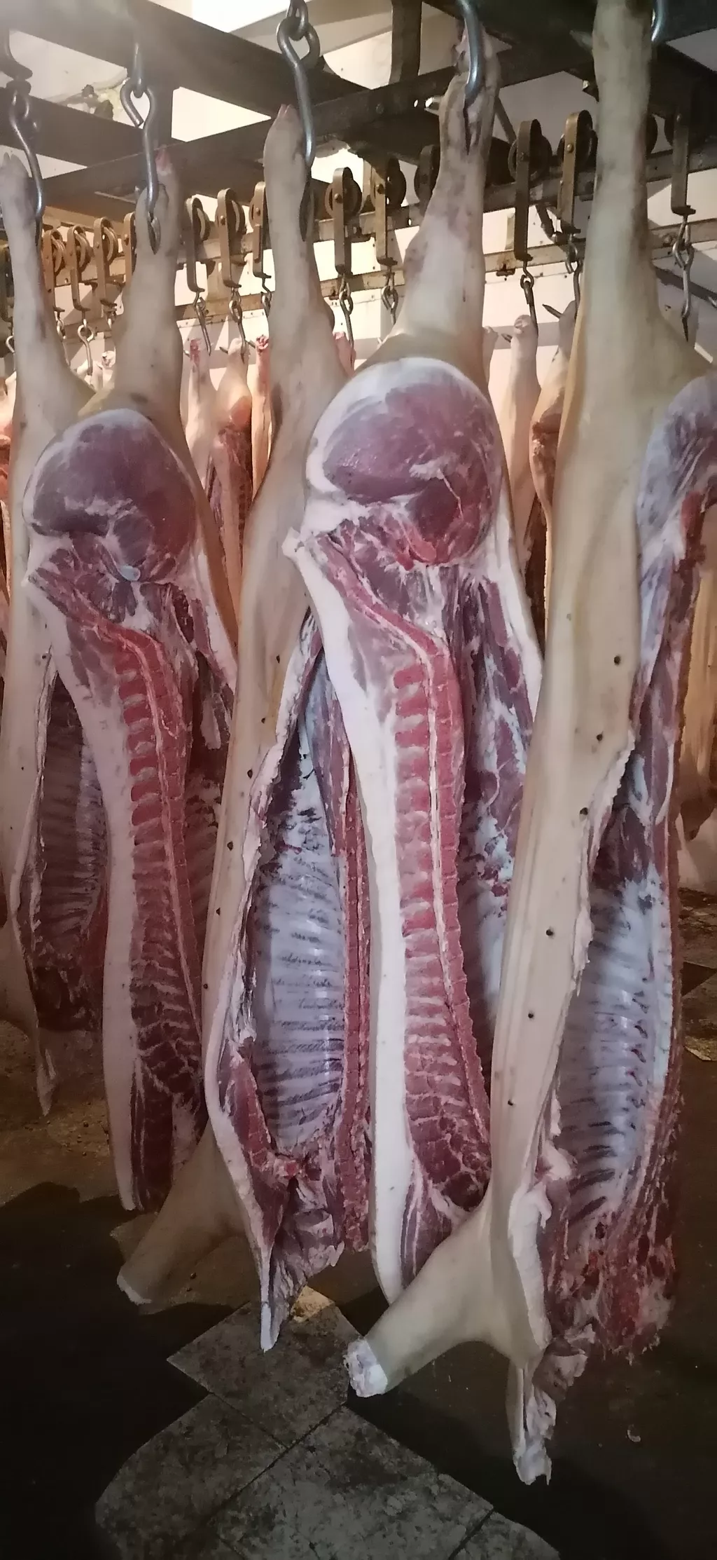 мясо свинины в полутушах в Самаре и Самарской области
